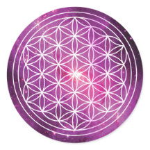 Flor da Galáxia Rosa LIfe