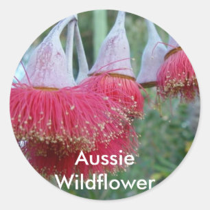 Adesivo Flor da goma vermelha