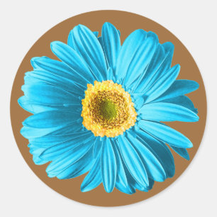 Adesivo Flor da margarida azul