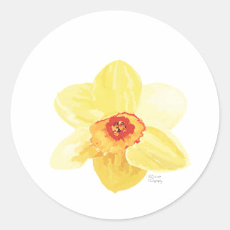Adesivo Flor Daffodil Żonkila