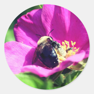 Adesivo Flor de Abelhas de Duplo Direito