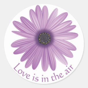 Adesivo Flor de Amor Roxo Lavanda Margarida