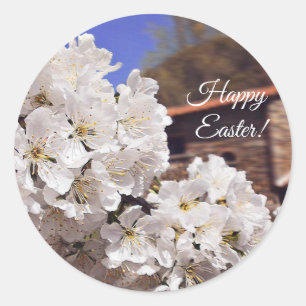 Adesivo Flor de cerejeira. Easter. feliz