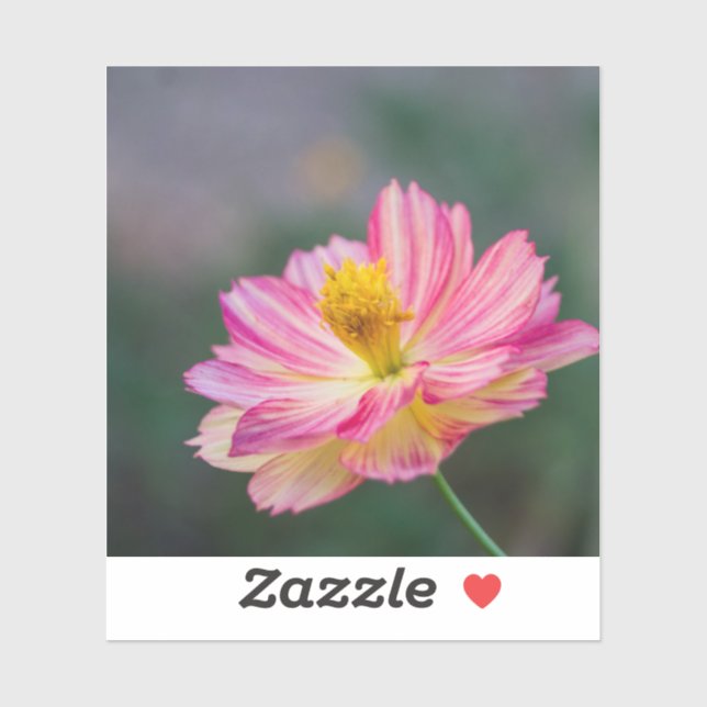 Adesivo flor de Cosmos (Folha)