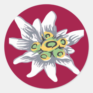 Adesivo Flor de Edelweiss