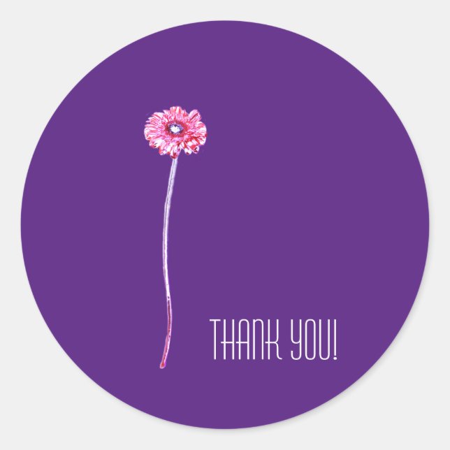 Adesivo Flor de Gerbera Púrpura, Vermelha pálida, Muito Ob (Frente)