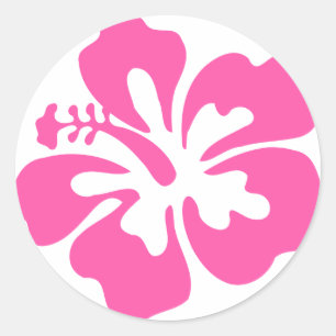 Adesivo Flor de Hibiscus Rosa