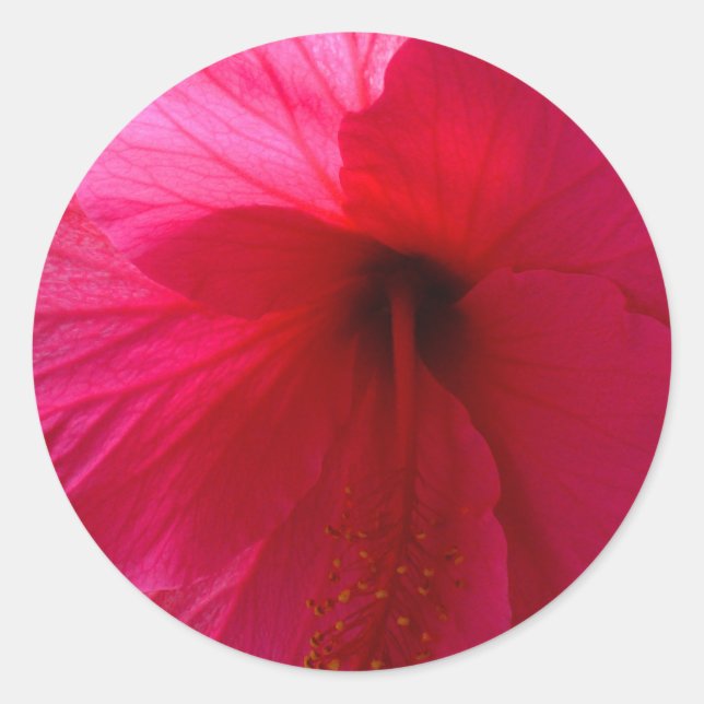 Adesivo Flor de Hibiscus Rosa (Frente)