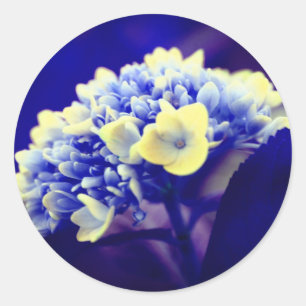 Adesivo Flor de Hydrangea Azul