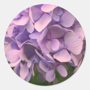 Adesivo Flor de Hydrangea Doce