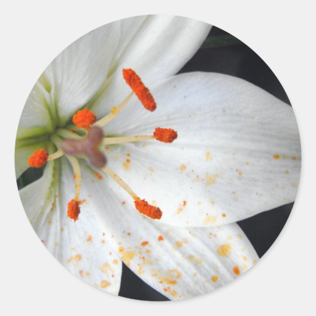 Adesivo flor de lírio branco (Frente)