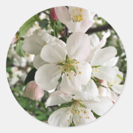 Adesivo Flor de maçã