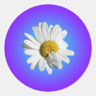 Adesivo Flor de Margarida Branca Gradiente Azul Roxo