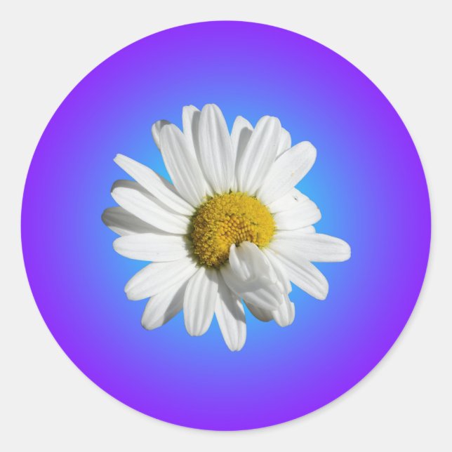 Adesivo Flor de Margarida Branca Gradiente Azul Roxo (Frente)