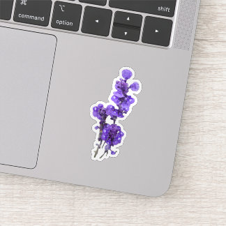 Adesivo Flor de Salvia Roxa Mealycup