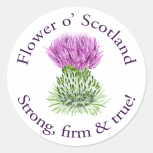 Adesivo Flor de Scotland. Forte, firme e verdadeiro!