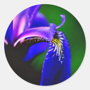 Adesivo Flor de Sinalizador Azul Iris