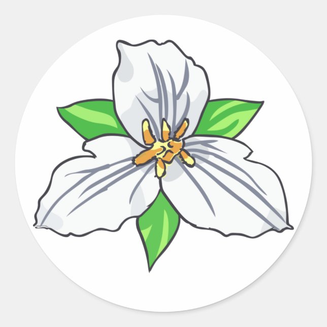 Adesivo Flor de trilho (Frente)
