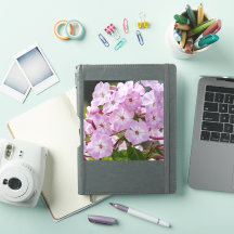 Flor de Unidade – Phlox Rosa