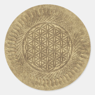 Adesivo Flor de Vivo - Sol - padrão sem soldadura 4