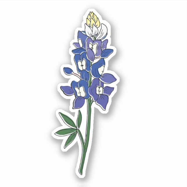 Adesivo Flor do Texas Bluebonnet (Frente)