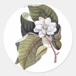 Adesivo Flor Elegante da Magnésia Branca do Sul