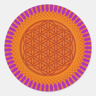 Adesivo Flor Live/splatter magenta ensolarado do design  