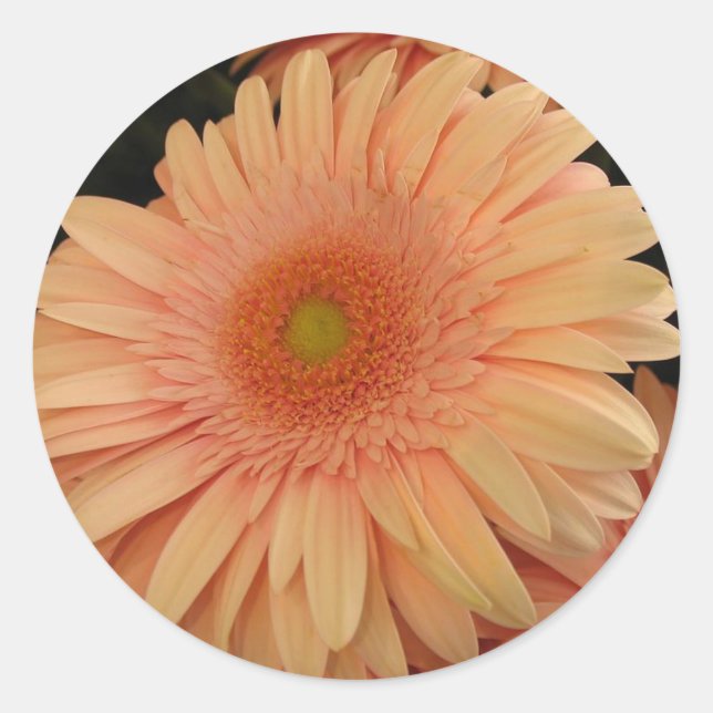 Adesivo Flor rosa (Frente)