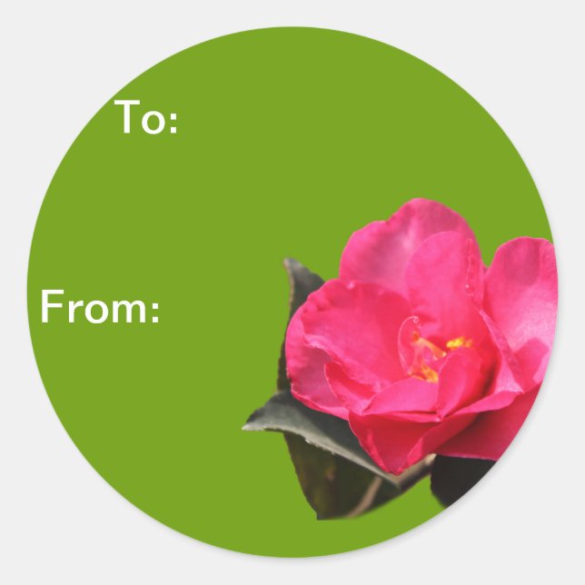 Adesivo flor rosa camellia flor de natal bengalas (Frente)