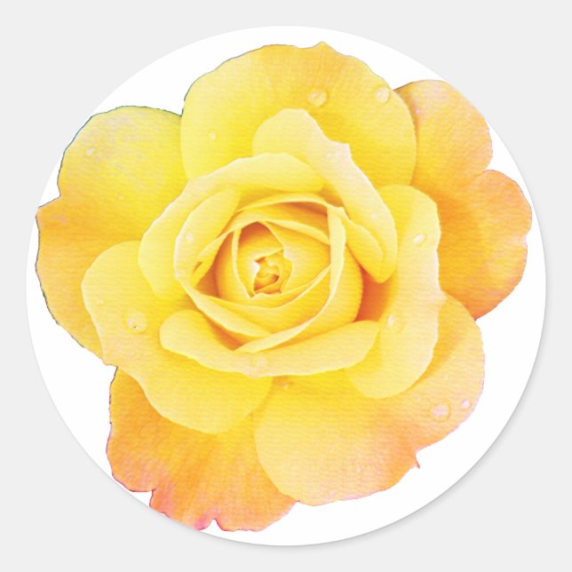 Adesivo Flor Rosa Floral Laranja Amarelo Páscoa Primavera (Frente)