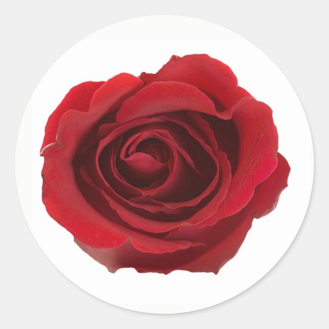 Adesivo Flor Rosa Fotográfico Vermelho (Frente)