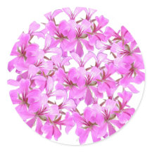 Flor Rosa - Vinheta Floral Arredondada