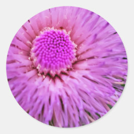 Adesivo Flor roxa e rosa