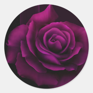 Adesivo Flor Roxo-Vermelha gótico do rosa