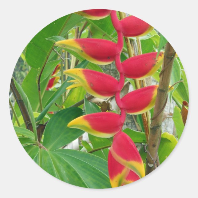 Adesivo Flor tropical (Frente)