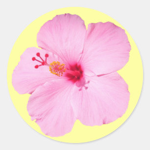 Adesivo Flor Tropical de Hibiscus Rosa