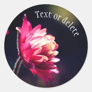 Adesivo Flor Vermelha Luz solar Personalizada