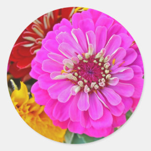 Adesivo Flor Zinnia