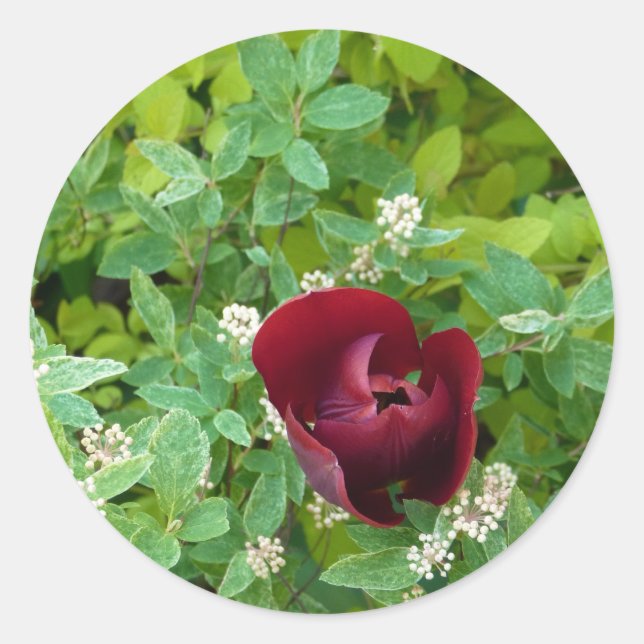 Adesivo Floral (Frente)