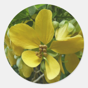 Adesivo Floral Amarelo tropical da árvore do Chá do ouro