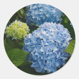 Adesivo Floral Blue Hydrangea Foto