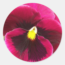 Adesivo Floral bonito Purple Pansy