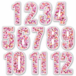 Adesivo Floral Colorful Twelve Months Botanical Pinkish