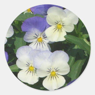 Adesivo Floral de Jardim de Panteras