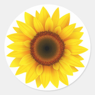 Adesivo Floral, Flor, Jardim, Mulher Cai, Girassol