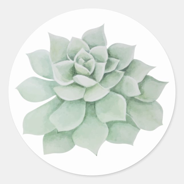 Adesivo Floral Mint Green Succulent Cactus (Frente)