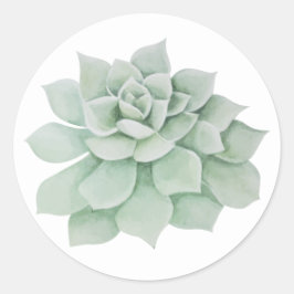 Adesivo Floral Mint Green Succulent Cactus