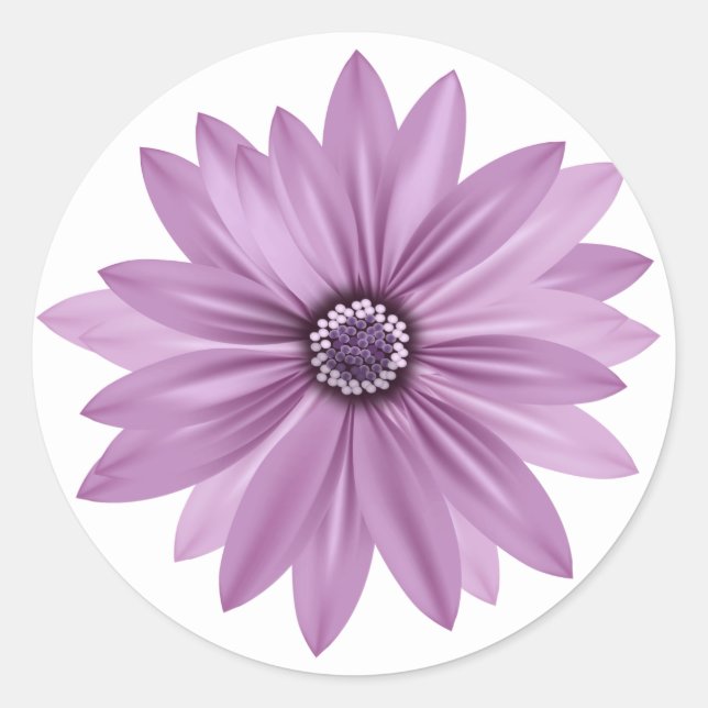 Adesivo Floral Obrigado Purple Daisy Flower - Lavanda (Frente)