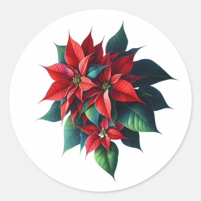 Adesivo Floral Poinsettia Christmas – Festive Holiday (Frente)