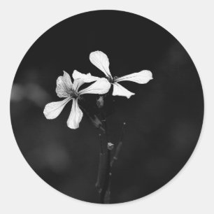 Adesivo floral preto e branco minimalista